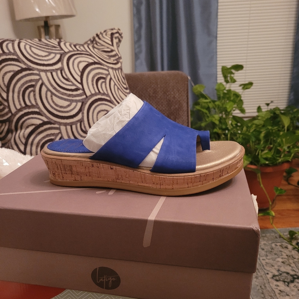 A royal blue sandal